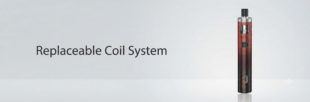 Replaceable Coil System