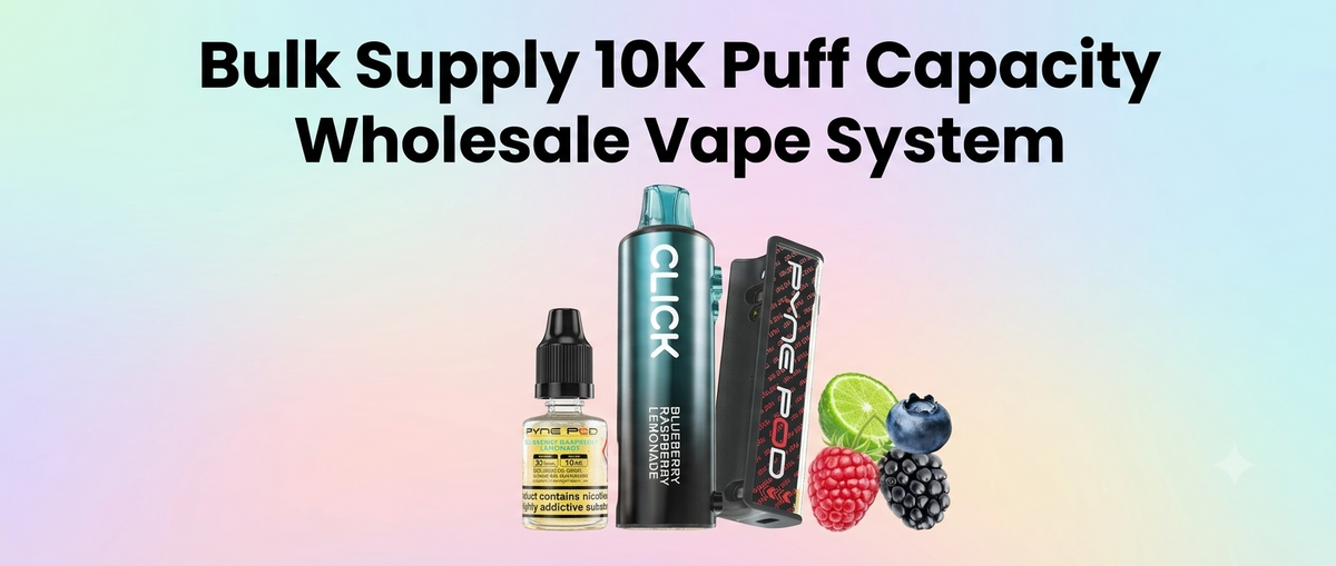 Bulk Supply 10K Puff Capacity Wholesale Vape System