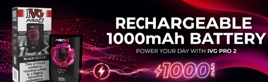 Rechargeable 1000mAh Battery