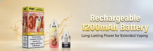 Rechargeable 1200mAh Battery