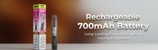 Rechargeable 700mAh Battery