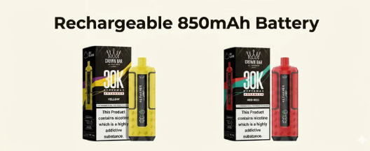 Rechargeable 850mAh Battery