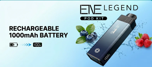 Rechargeable 1000mAh Battery