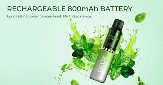 Rechargeable 800mAh Battery