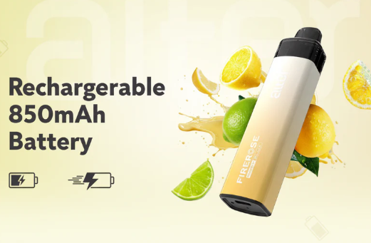 Rechargeable 850mAh Battery