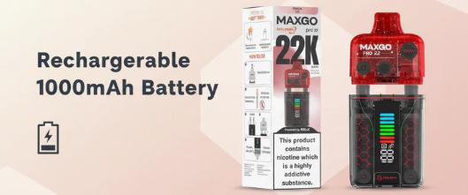 Rechargeable 1000mAh Battery