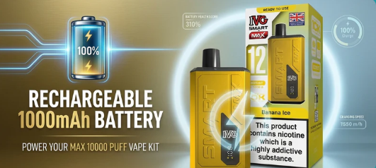 Rechargeable 1000mAh Battery
