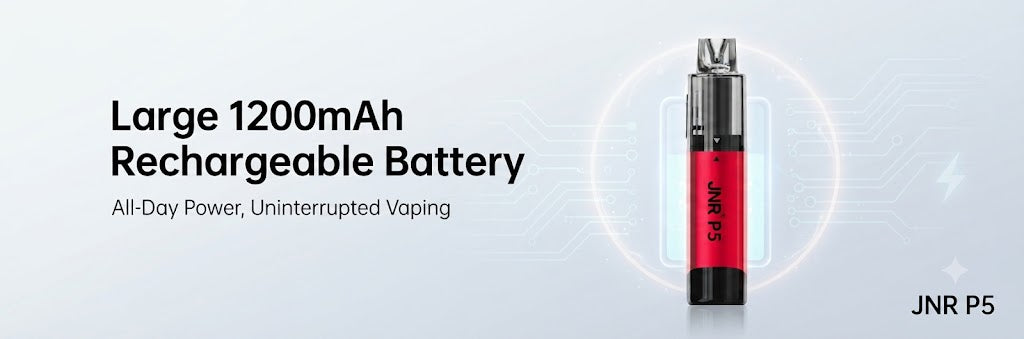 Large 1200mAh Rechargeable Battery