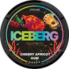 Ice Berg Nicotine Pouches - Pack Of 10 - VapingSupplier
