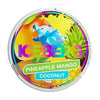 Ice Berg Nicotine Pouches - Pack Of 10 - VapingSupplier