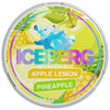 Ice Berg Nicotine Pouches - Pack Of 10 - VapingSupplier
