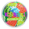 Ice Berg Nicotine Pouches - Pack Of 10 - VapingSupplier
