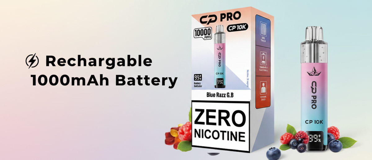 Rechargeable 1000mAh Battery